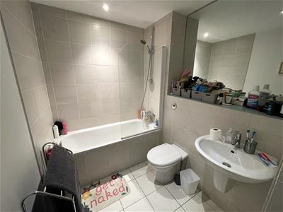Picture 8